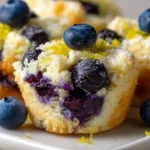 Blueberry and Lemon Zest Cottage Cheese Bites blueberry and lemon zest cottage cheese bites 2025 11 28 182519 150x150 1