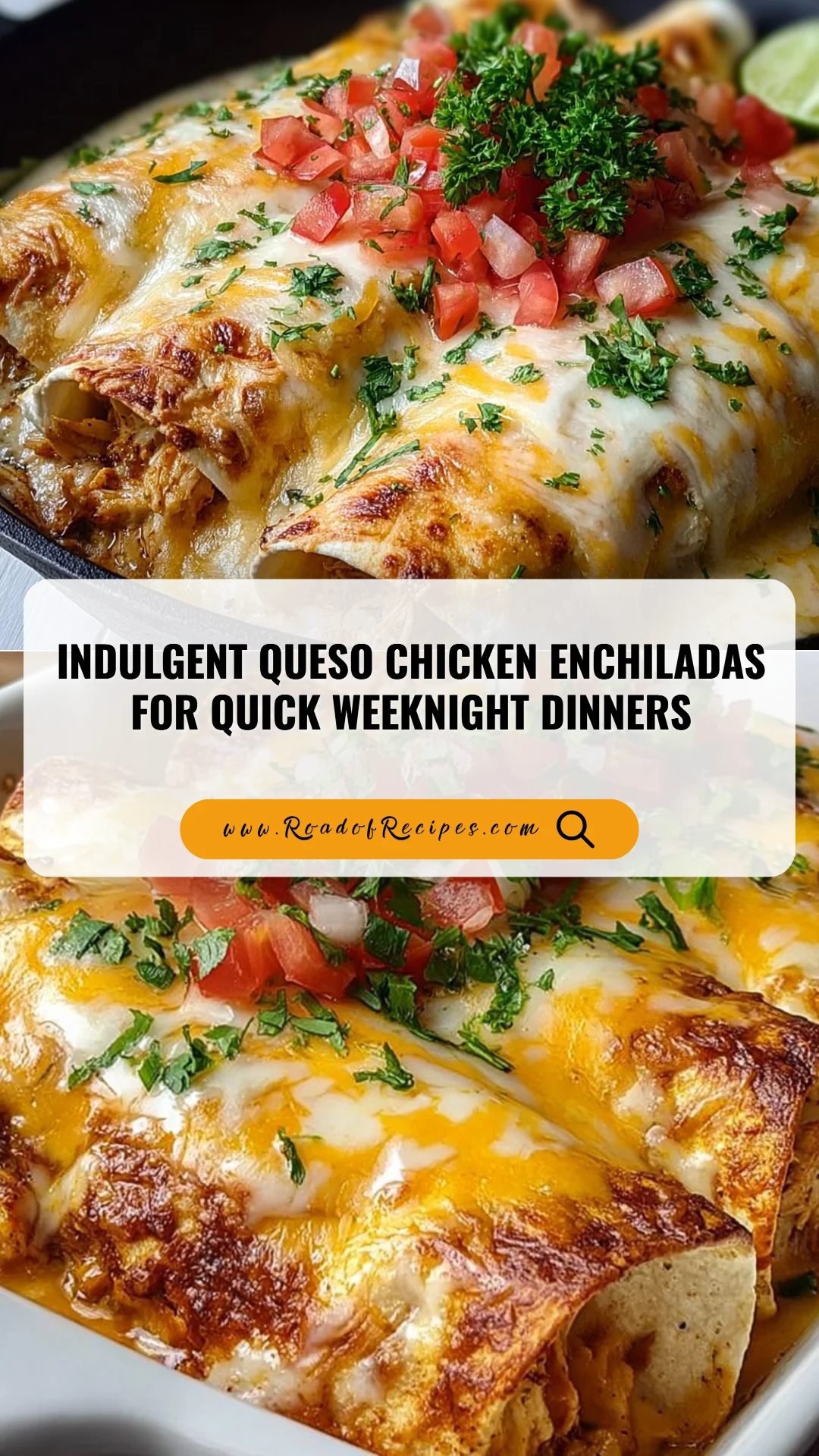 Indulgent Queso Chicken Enchiladas for Quick Weeknight Dinners